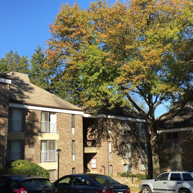 3342 Hewitt Ave Unit 74, Aspen Hill, MD 20906 Condo for Rent in Aspen