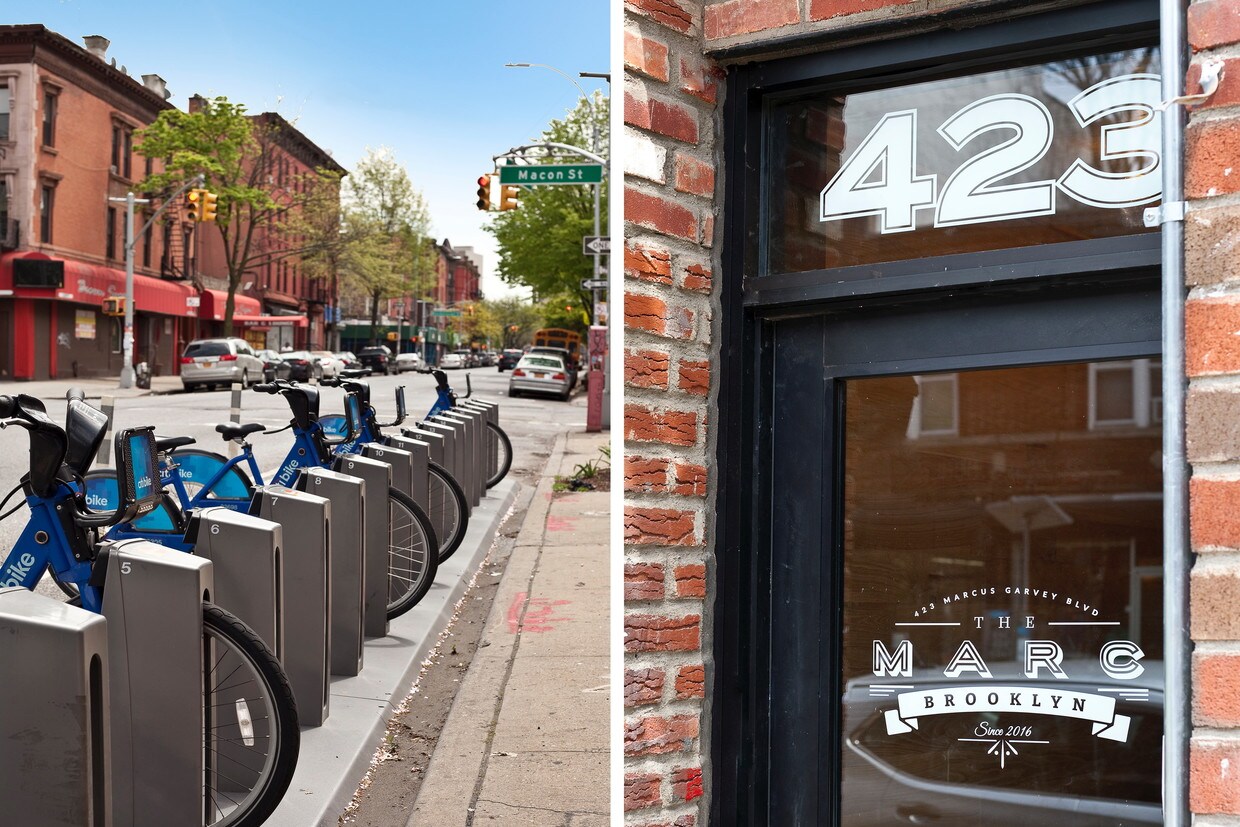 Primary Photo - 423 Marcus Garvey Blvd