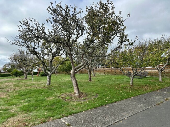 Foto del edificio - Furnished Studio Cottage on Peaceful Ranch Property – All Utilities Included