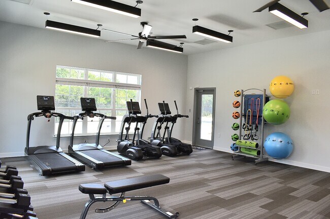 Gimnasio - The Jewel Summit Pointe