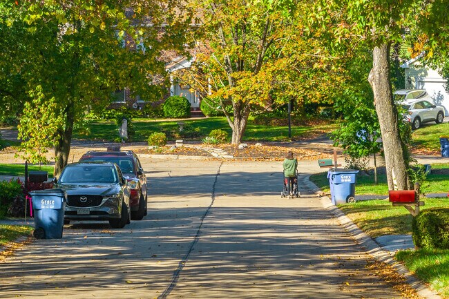 A tree-filled neighborhood street in Cottleville.