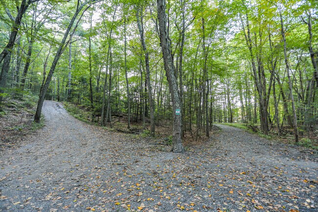 Oak Hill Conservation Land in Littleton has many trails for residents to enjoy.