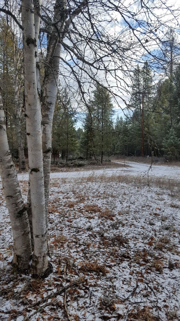 Building Photo - Serene location with some breathing room!