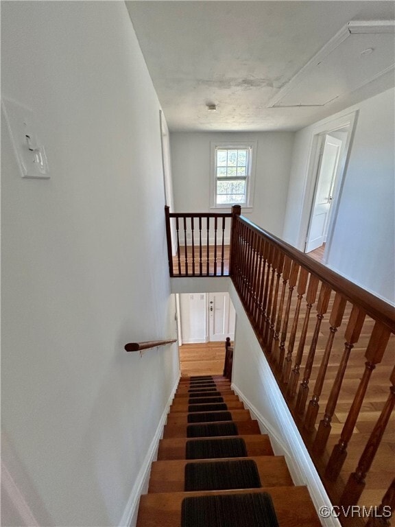Building Photo - 2801 Dogtown Rd