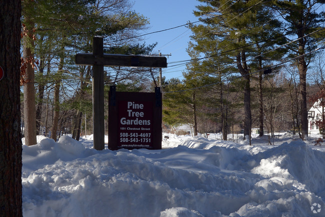 Foto del edificio - Pine Tree Gardens