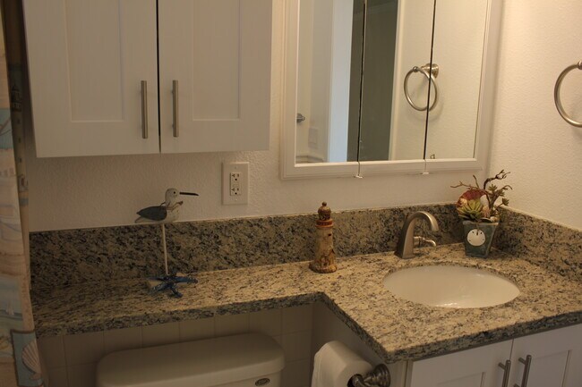 Remodeled Full Master Bathroom - 206 Indianapolis Ave