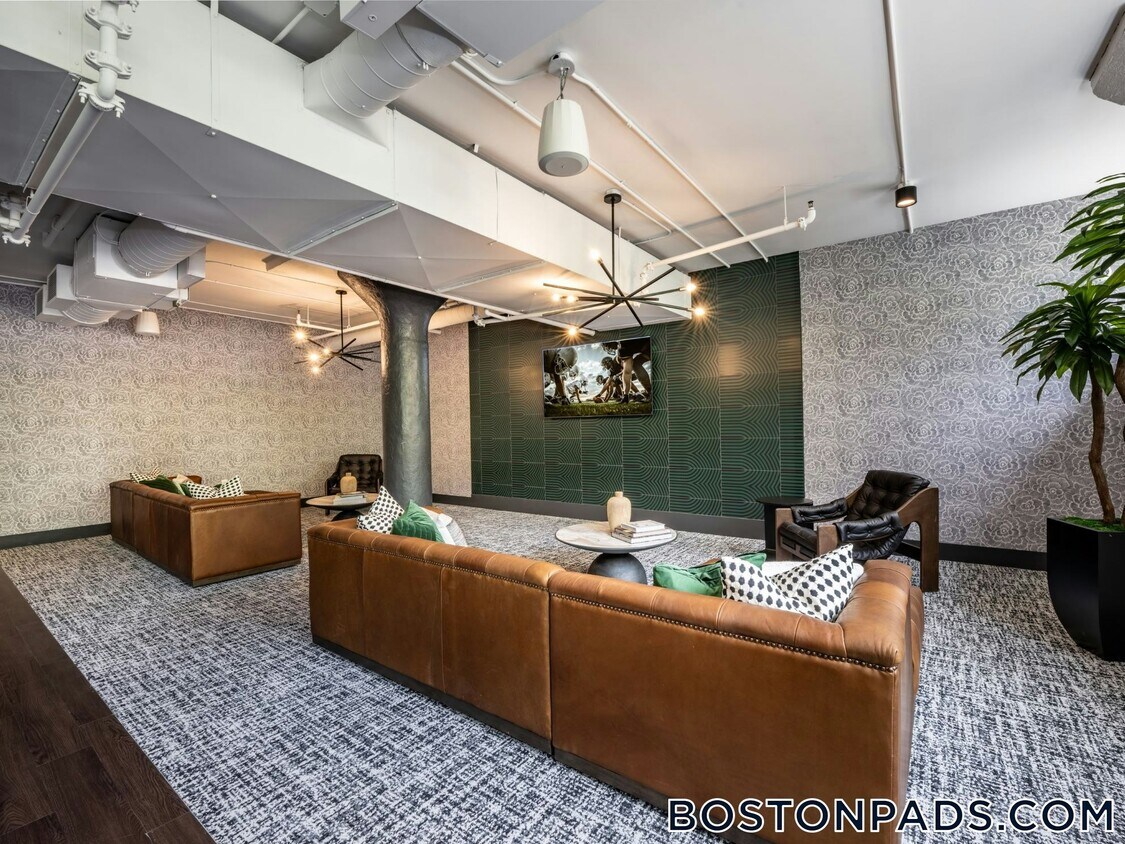 Foto principal - 40 Locke St
