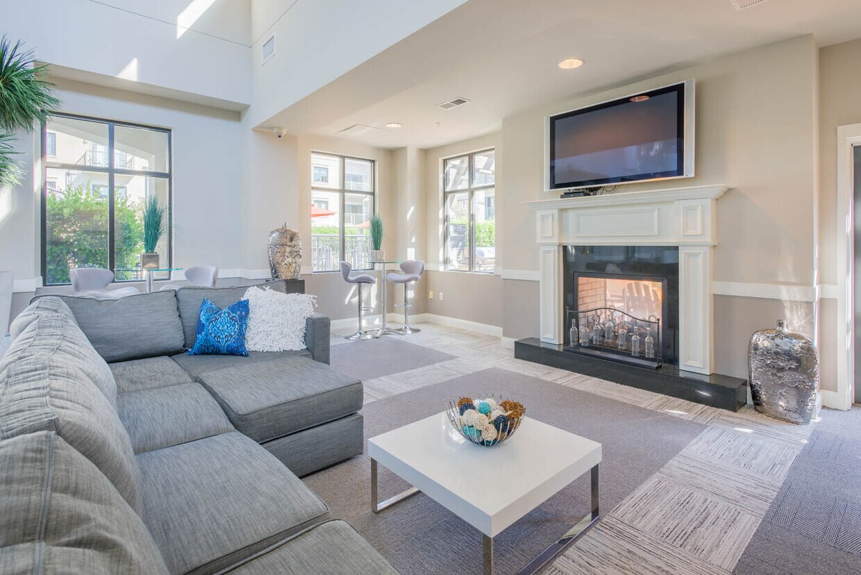 Southpark Morrison Apartments Charlotte Nc Apartments Com