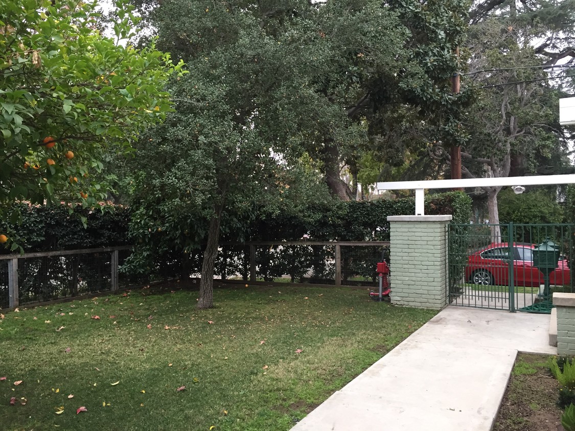 Front Yard - 1902 Monterey Rd