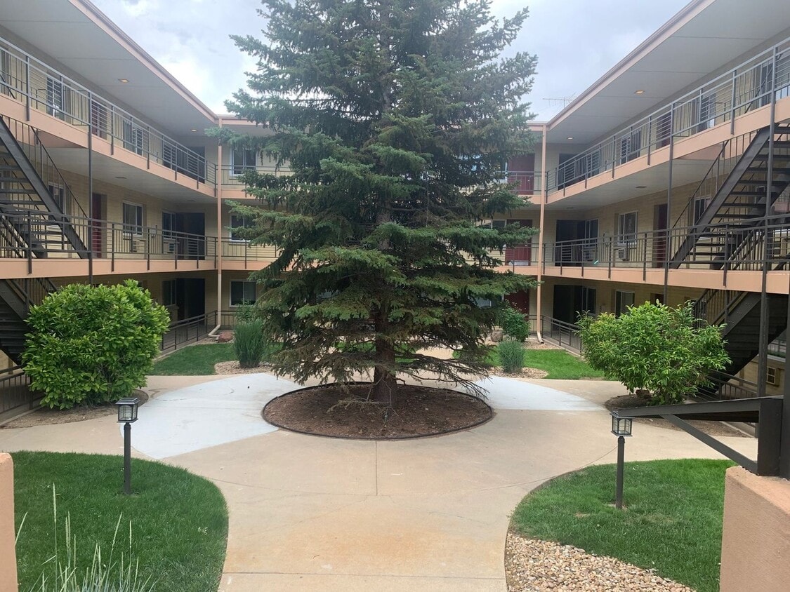 One Bedroom Apartment Near CU Available Now! - One Bedroom Apartment Near CU Available Now!