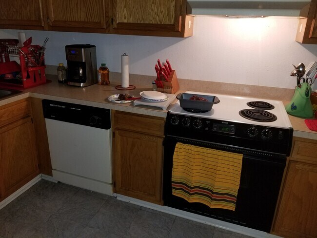 Kitchen - 1082 Shellie Ln