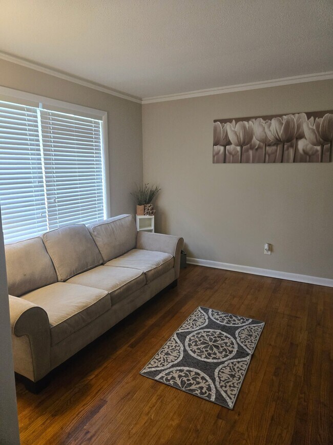Building Photo - 3881 Hilton Ct