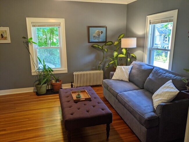 Living room - 18 Elm St