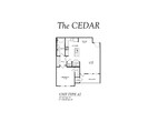 A2 - The Cedar