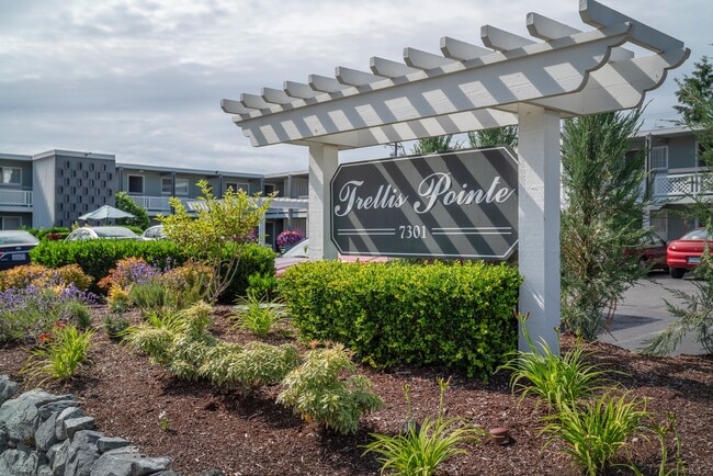 Building Photo - Trellis Pointe Apartments