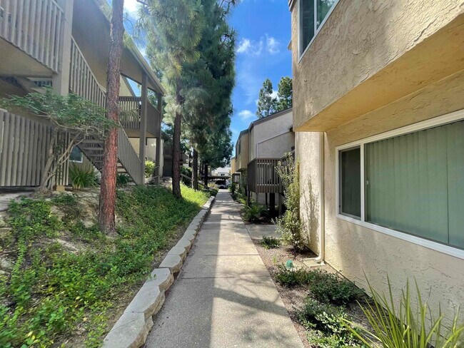 Building Photo - 8571 Villa La Jolla Dr