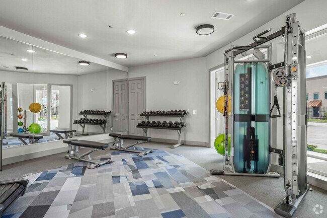 Gimnasio - The Gibson