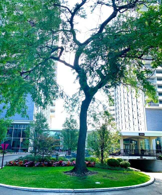 Foto del edificio - 4250 N Marine Dr