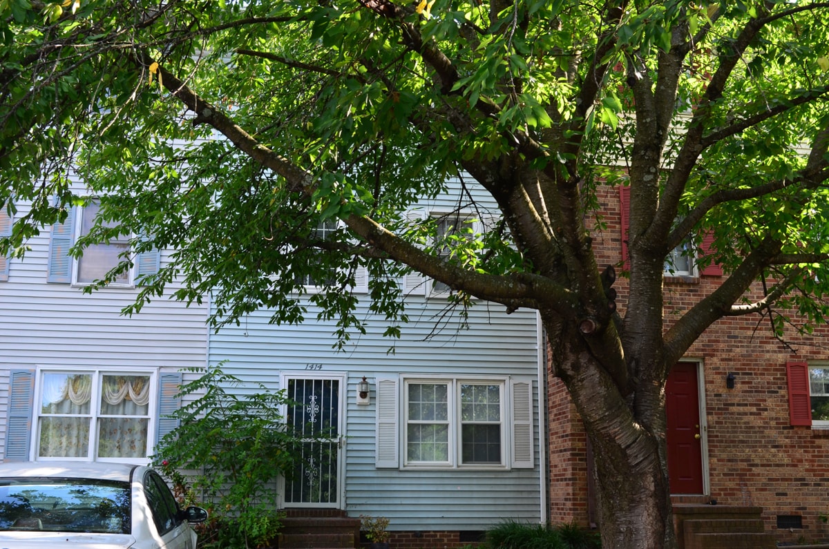 Primary Photo - Spacious Affordable Townhome