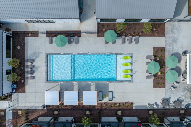 Building Photo - Treesort Luxury Living