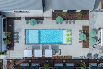 Building Photo - Treesort Luxury Living