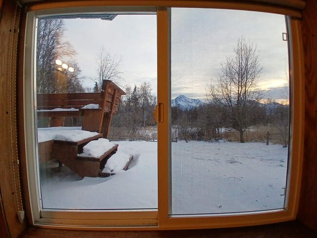 downstairs bed-left window - 15160 E Robin Ln