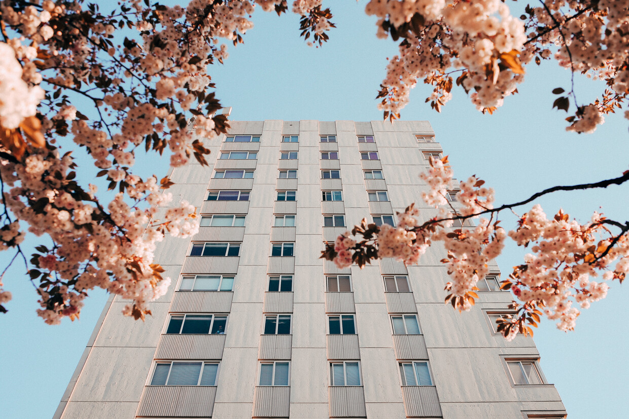 Primary Photo - Park Tower Apartments