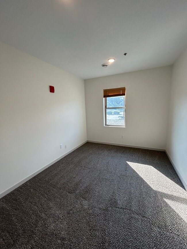 Interior Photo - Tiller+Main