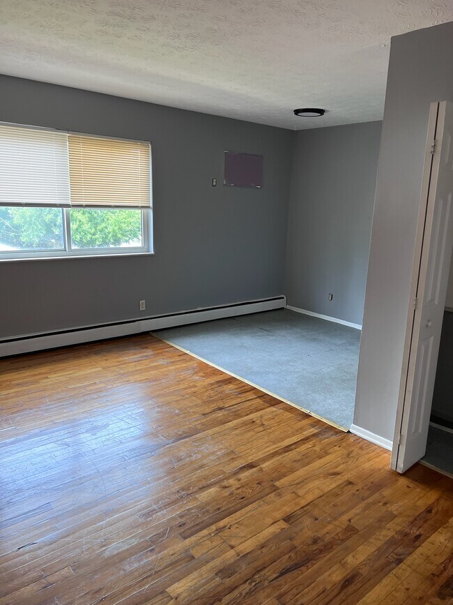 Photo - Mills Apartment