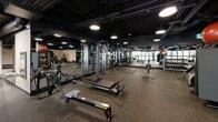 This well-appointed fitness facility offers an expansive, single-floor layout designed to accommodate a wide variety of workout styles and training needs. The space features a striking industrial aesthetic, with exposed ductwork and structural elements set against a matte black ceiling, creating a dynamic and energizing atmosphere. Pendant and overhead lighting is strategically placed throughout to ensure the entire floor is well-lit.

The cardio zone is equipped with a row of TRUE brand treadmills and elliptical trainers, positioned along one wall and oriented toward large floor-to-ceiling windows that allow natural light to filter into the space. A dedicated strength training area houses a selection of cable machines, power racks, and multi-functional cable systems, providing ample options for resistance-based workouts. Free weight stations feature a full dumbbell rack, flat and adjustable benches, and open floor space for functional training. Concept2 RowERG rowing machines and stability balls round out the functional fitness equipment offerings.

Rubberized flooring covers the entire facility, providing durability and safety underfoot. Full-length mirrors line portions of the walls, enhancing the sense of space and supporting proper form during exercise. A living moss wall accent adds a touch of natural warmth to the otherwise contemporary design. The open layout promotes an unobstructed flow between training zones, making this a versatile and well-equipped fitness environment.