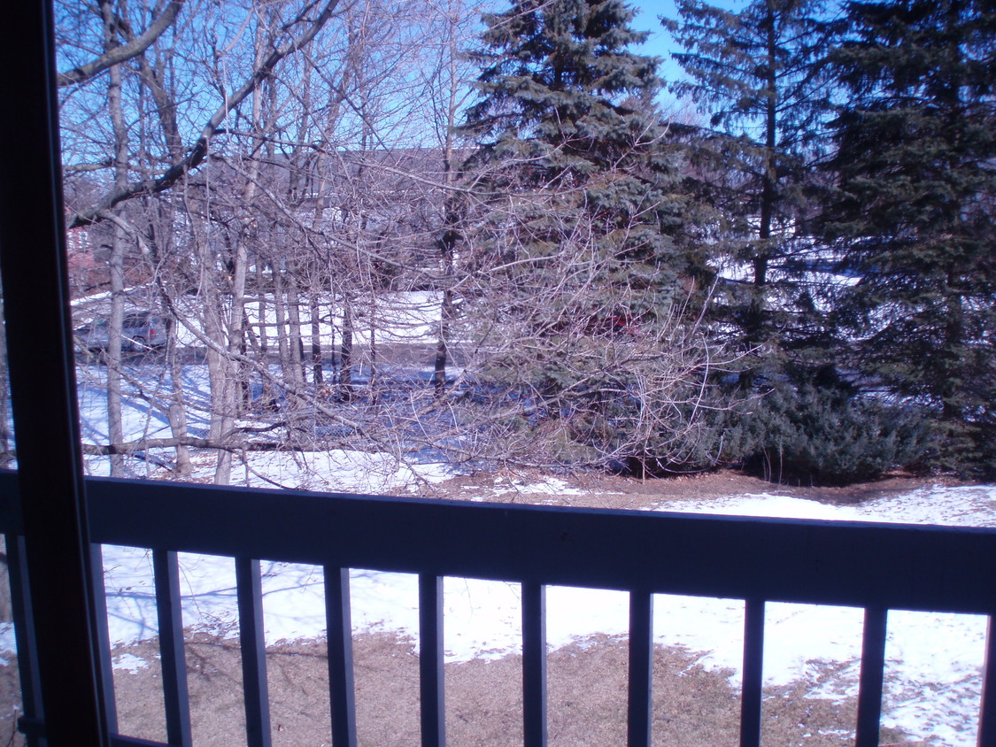 Primary Photo - 673 Foxtree Cir