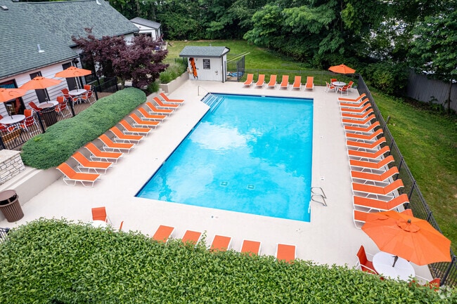 Pool - The Lory of Louisville