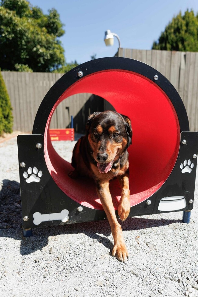Building Photo - Hilltop in the Highlands
