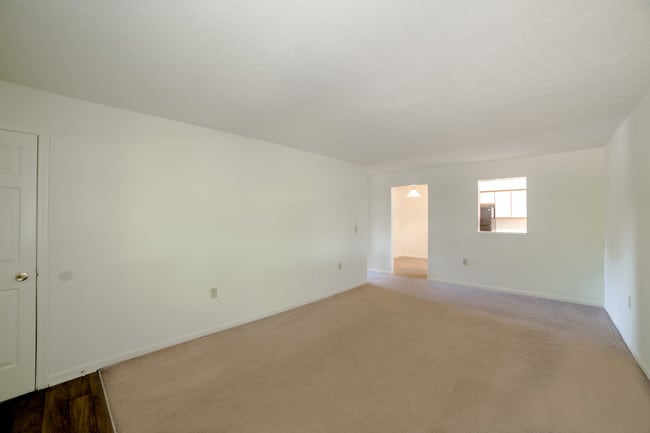 Living Room in 3 Bed- 2 Bath Apartment - Bradford Run Apartments