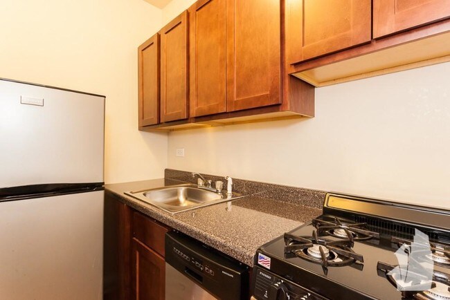 Building Photo - 1 bedroom in Chicago IL 60610