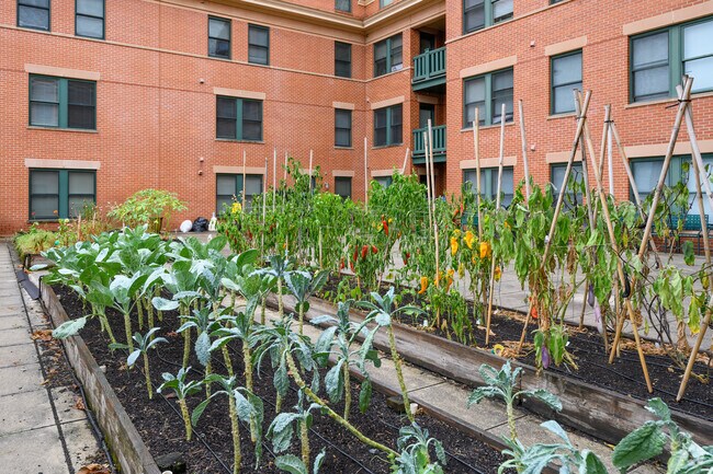 Jardín comunitario - The Station At Potomac Yard Apartments