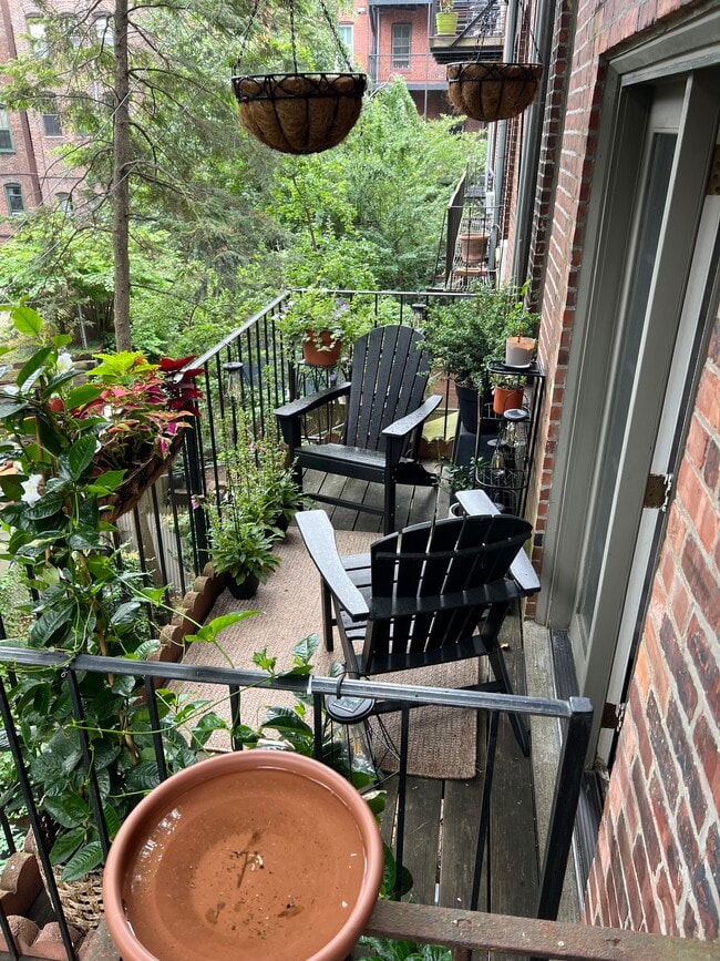 Foto del edificio - 115 Chandler St