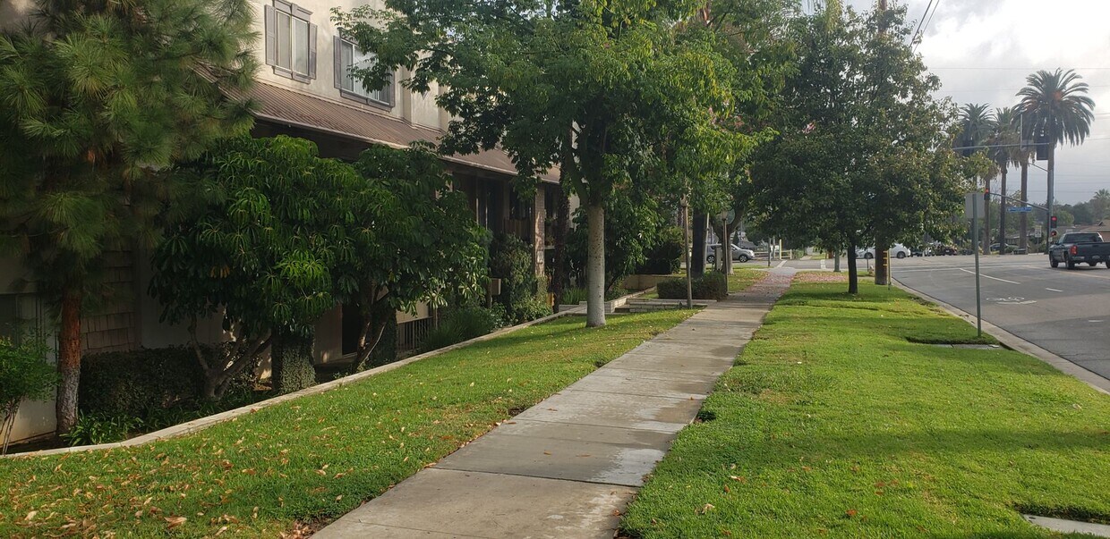 Building Photo - 475 E Cypress Ave