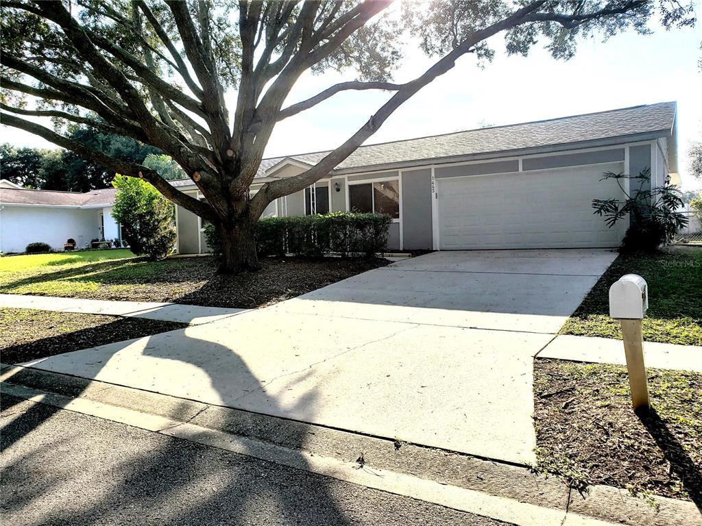 1445 Piney Branch Cir, Valrico, FL 33594 House Rental in Valrico, FL