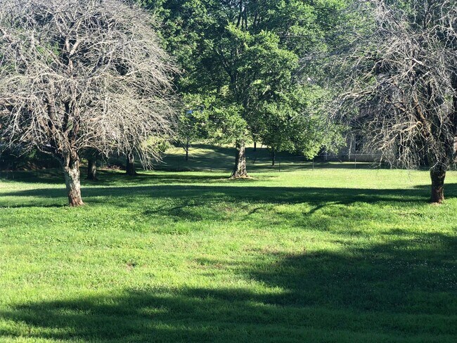 Foto del edificio - 3 Bedroom, 2 Bath, All Brick Home, Mt. Juliet Schools