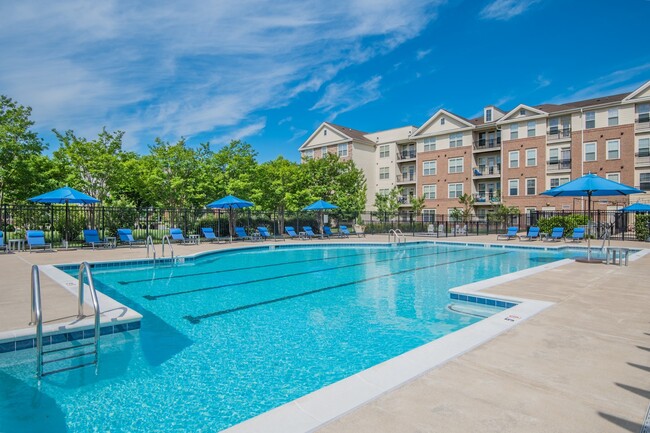 Dive into relaxation! Our sparkling pool offers a refreshing oasis for endless summer vibes and fun-filled days. - Windsor Leesburg