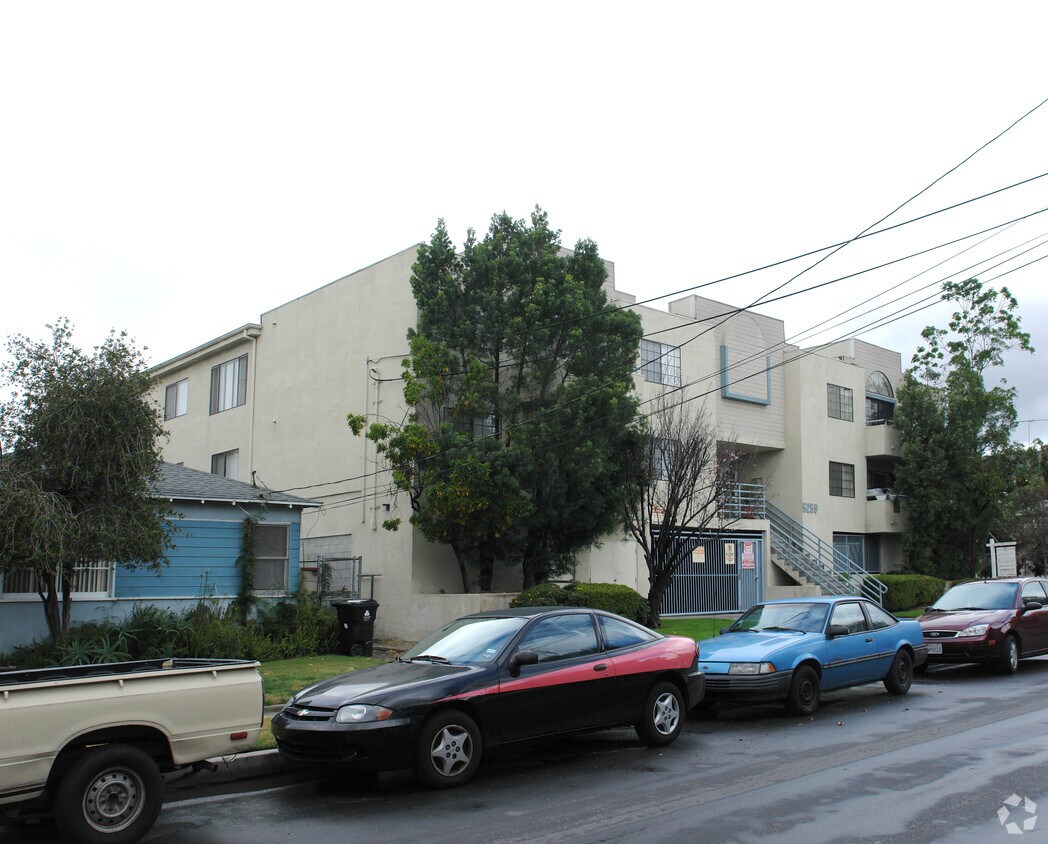 tree obstruction - 5253 Cartwright Ave