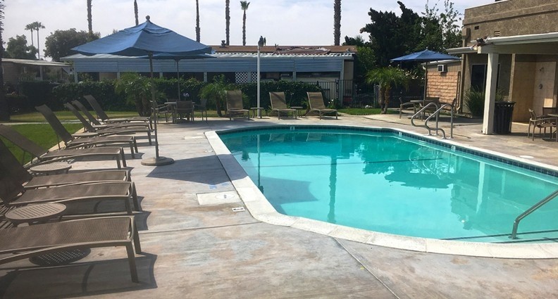 Primary Photo - Las Palmas Estates