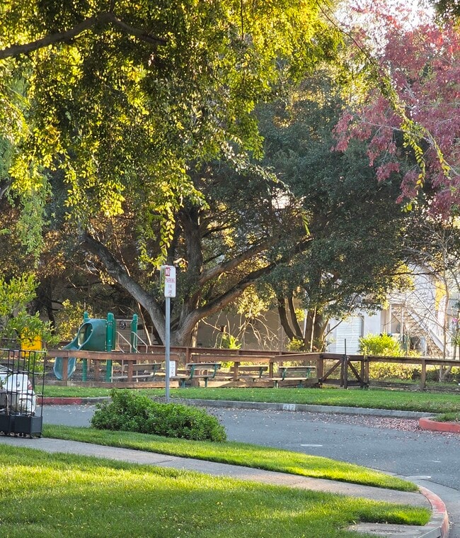 Foto del edificio - 426 Matteri Cir