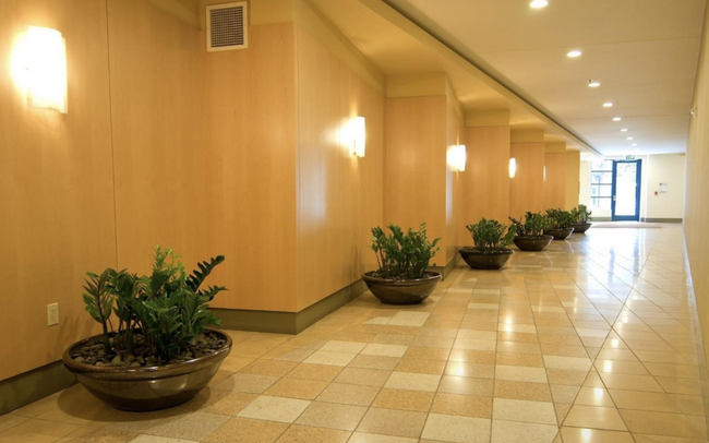 Lobby hallway - 88 Townsend St