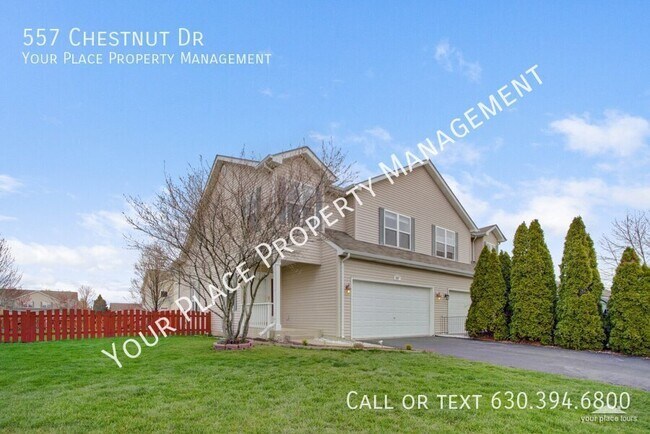 Foto del edificio - 557 Chestnut Dr