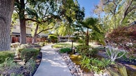 Located at 2309 Rock St in Mountain View, California, this single-floor property offers a welcoming and verdant exterior that immediately sets a tranquil tone. The building features classic board-and-batten siding in a neutral palette, complemented by warm wood-toned deck railings and balconies that add architectural character to the facade.

The grounds are a standout feature of this property, showcasing thoughtfully designed landscaping throughout. Mature trees — including large, sweeping specimens that provide generous shade — are interspersed across an expansive, well-kept lawn. Neatly trimmed ornamental shrubs, ground cover plantings, and mulched garden beds frame the walkways and building entrances, creating a layered, park-like atmosphere.

Concrete pathways wind through the property, offering easy and scenic access to individual units. Stairways with painted railings lead to covered entry porches, each accented by wall-mounted lighting fixtures. The combination of greenery and structured hardscaping lends the exterior a clean, polished look.

Situated in a prime Mountain View location, the property benefits from the area's mild climate, allowing the lush vegetation to thrive year-round. The overall ambiance is peaceful and well-maintained, offering residents a refreshing natural environment in the heart of Silicon Valley.