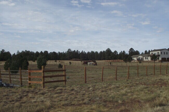 Building Photo - 234 Thistle Dr
