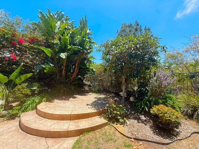 Building Photo - 10636 Senda Acuario