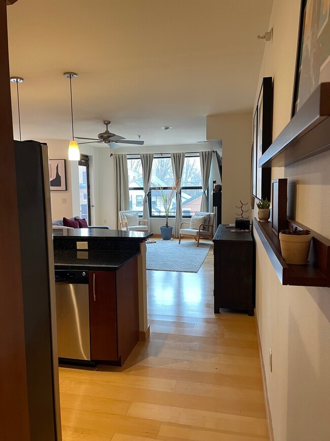 808 Williamson St Unit 304, Madison, WI 53703 Condo for Rent in